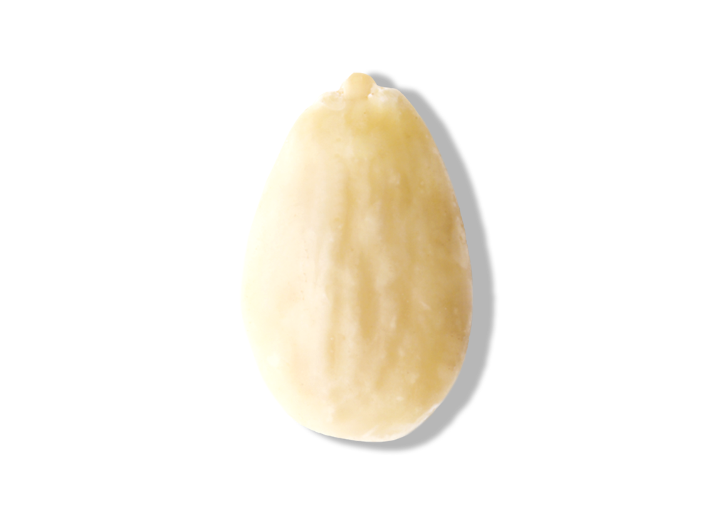 Raw Blanched Almond