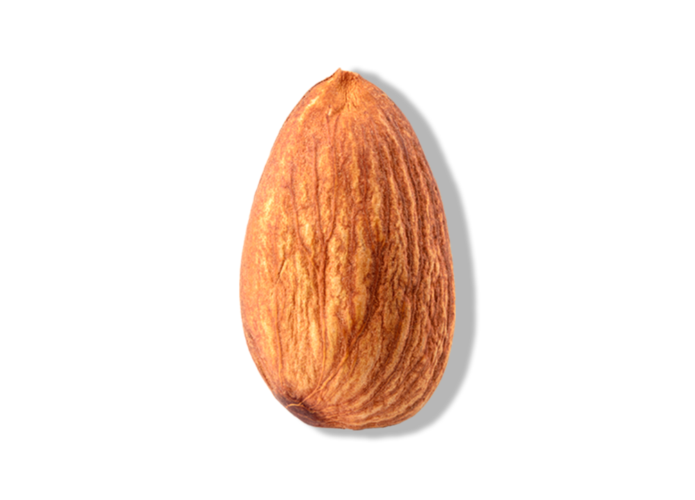 Raw Almond