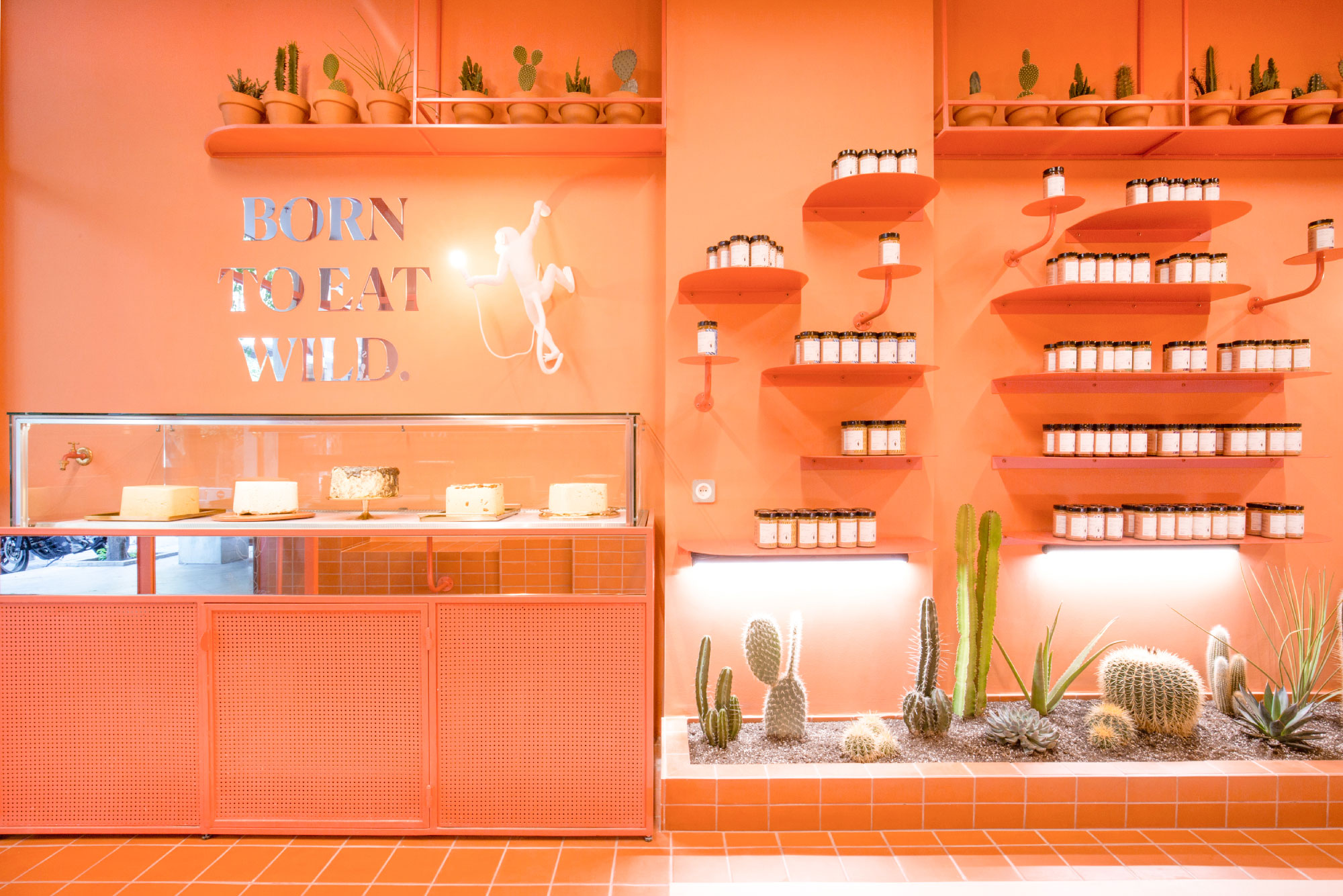 Concept Store