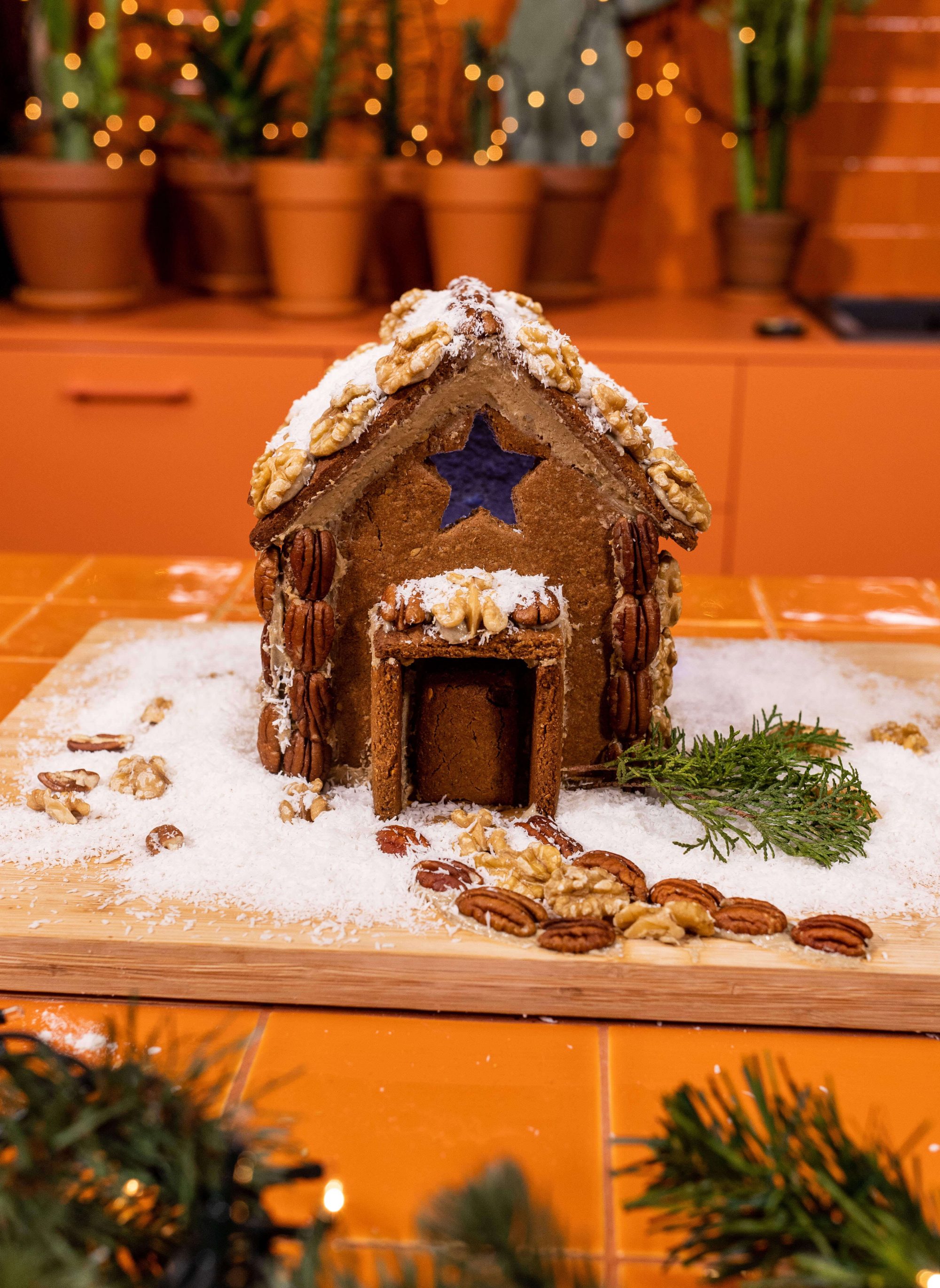 Wild Gingerbread House