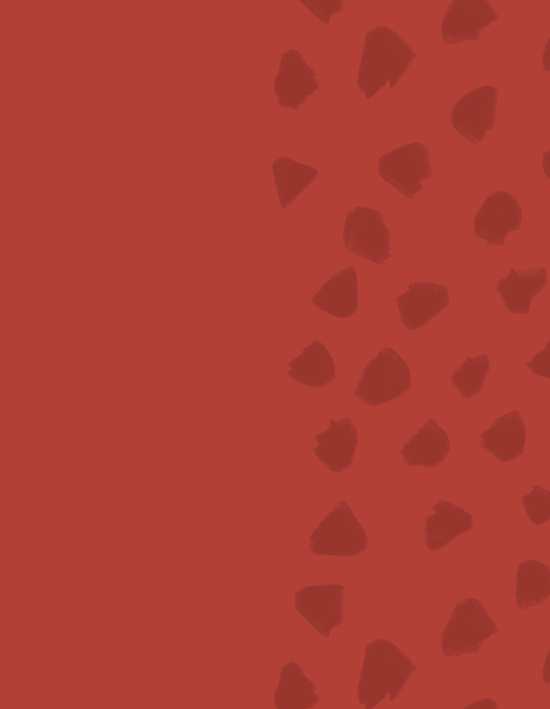 Choco Peanut Granola 300g